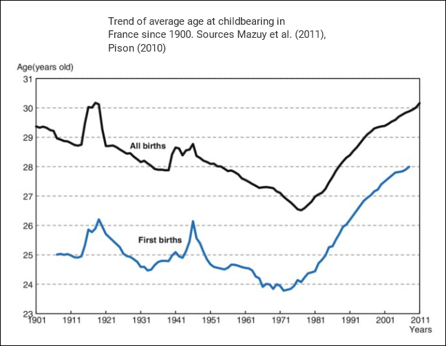 Average age of                  mothers in France