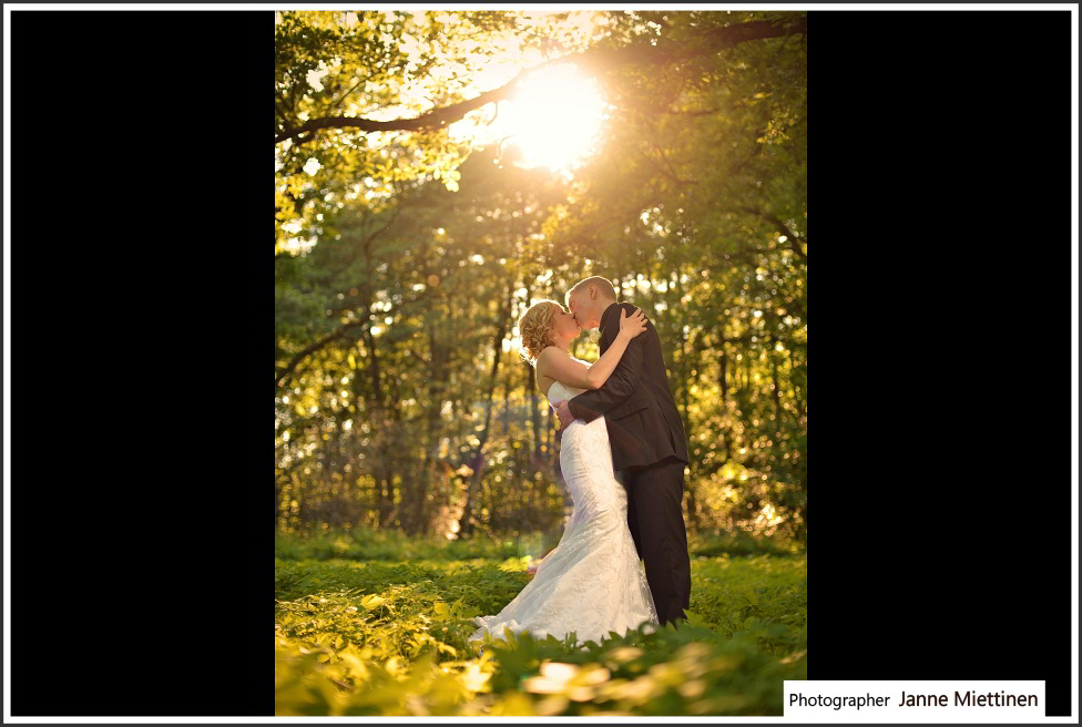 Vuoden Hääkuva 2013 Vuoden hääkuva 2013 miljöösarja palkittu voittajakuva