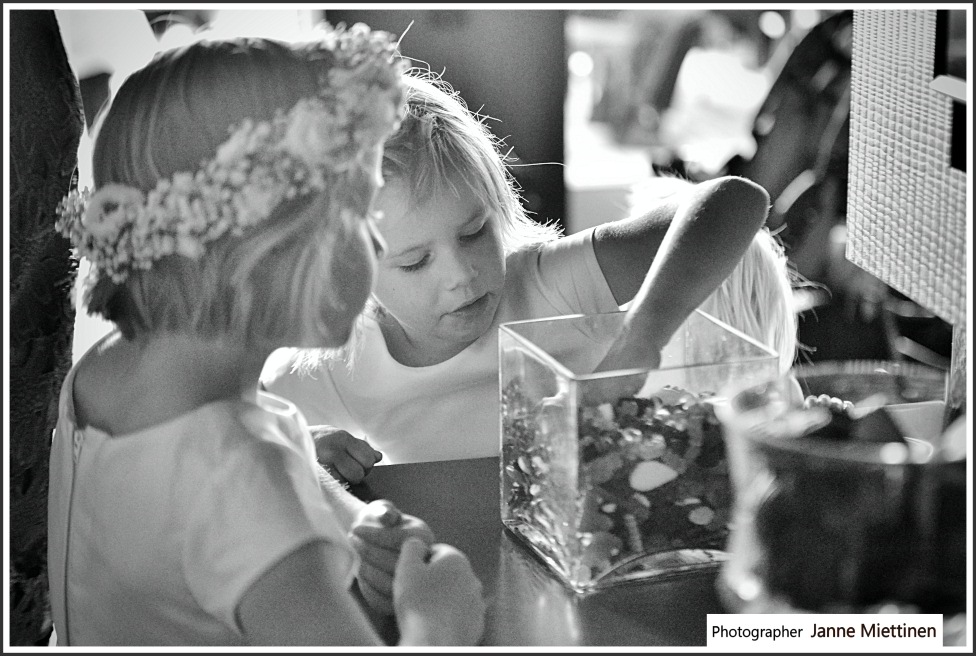 dsc_6789 Karkkibuffa häissä